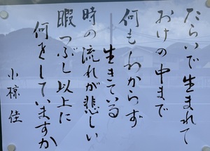 たらいで生まれて　おけの中まで　何もわからず生きている  時の流れが悲しい　暇つぶし以上に　何をしていますか　（小椋佳）