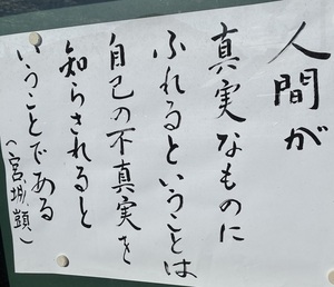 人間が真実なものに触れるということは、自己の不真実を知らされるということである　（宮城顗）